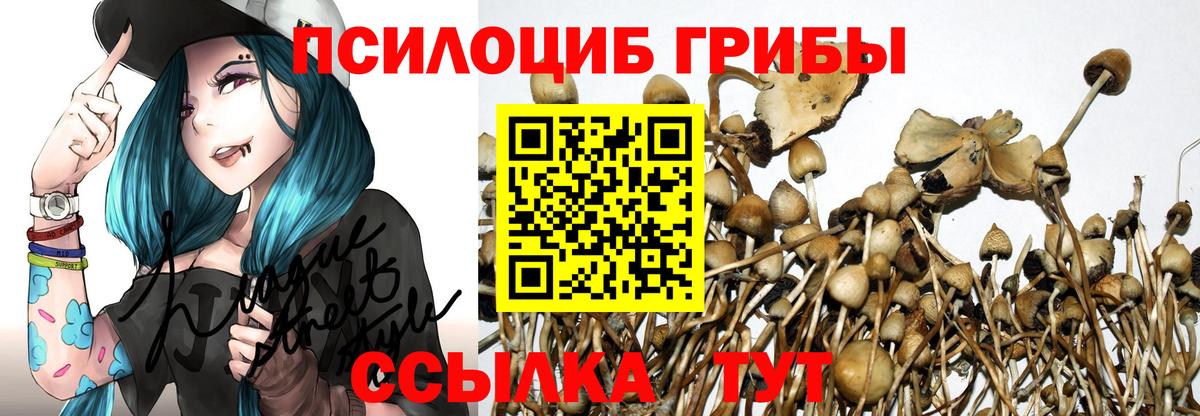 Псилоцибиновые грибы мухоморы Тихвин