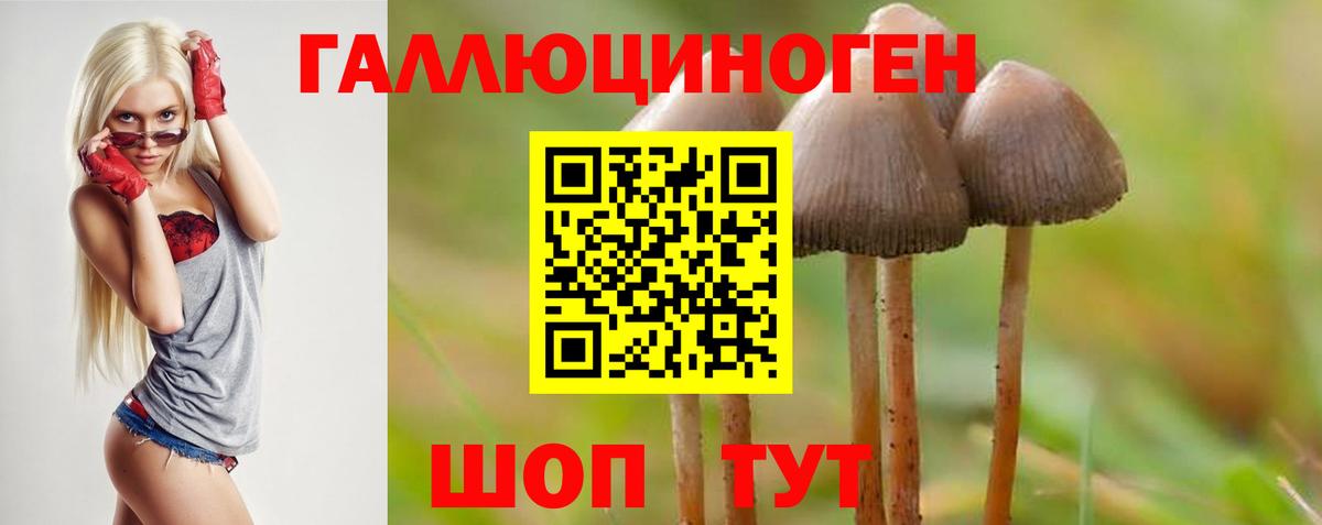 Псилоцибиновые грибы Magic Shrooms  Галлюциногенные грибы GOLDEN TEACHER  Тихвин  Вход с VPN 
